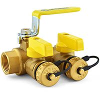 Purge and Fill Valves
