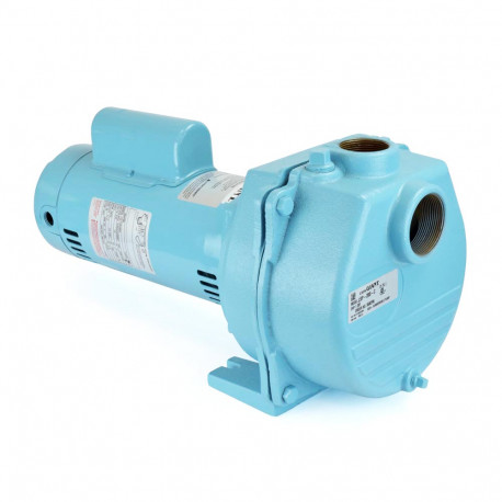 LSP-200-C Lawn Sprinkler Pump, 2 HP, 230V, Cast Iron Little Giant