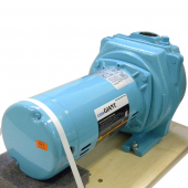 LSP-150-C Lawn Sprinkler Pump, 1-1/2 HP, 115/230V, Cast Iron Little Giant