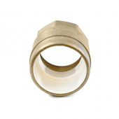 2" PVC x 2" FIP (Female Threaded) Brass Adapter, Lead-Free Sioux Chief