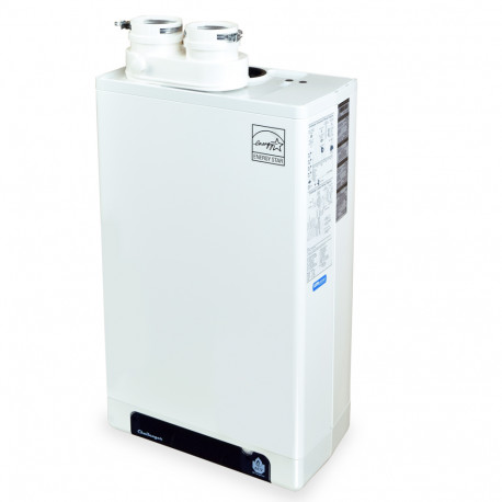 Challenger Solo CC85s Condensing Gas Boiler, 65,000 BTU w/ Primary/Secondary Manifold Triangle Tube