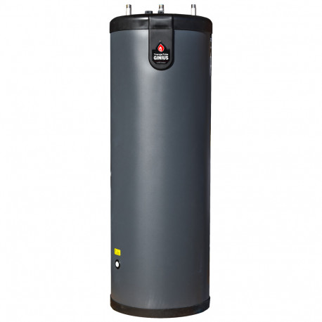 Triangle Tube Ginius 65 Indirect Water Heater, 64-Gallon (w/ Dual Heat Exchanger) Triangle Tube